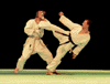 Karate sparring