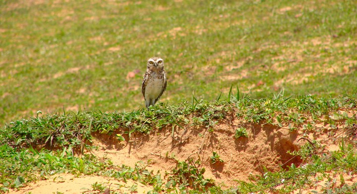 DSC09238JeriSisteUgla.JPG