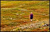 DSC07234v2VelfjordMasseFarger.JPG