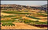 210DSC00584MaltaIrrigationNation.JPG