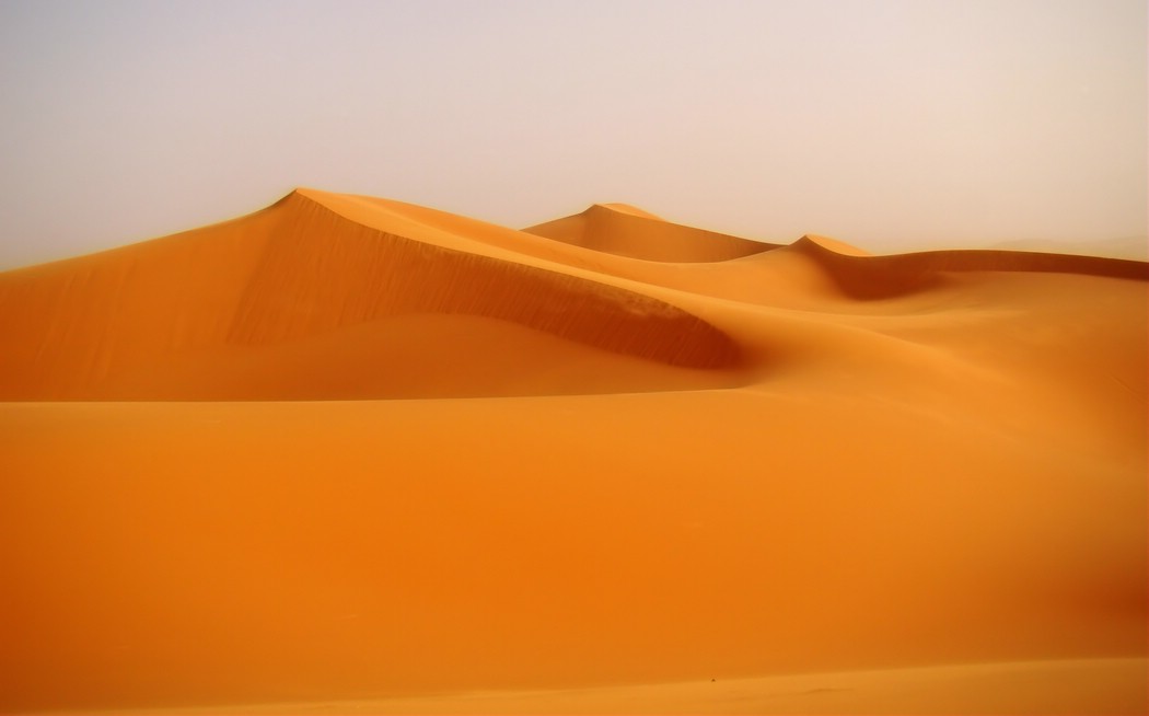 DSC06458MerzougaGulldyner.JPG