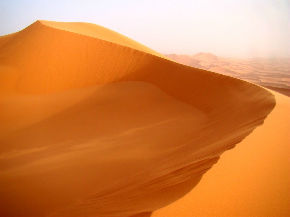 DSC06540MerzougaFineBuer.JPG