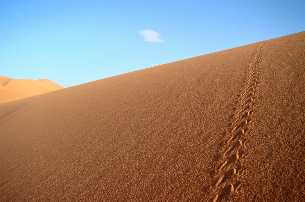 DSC06855MerzougaBillespor.JPG