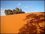 DSC06848MerzougaDiverseTraer.JPG