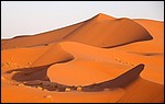 DSC06914MerzougaSandfloeyel.JPG