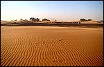 DSC06957MerzougaHeleGravplassen.JPG