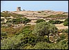 DSC01235BosaTypiskSardiniataarn.JPG