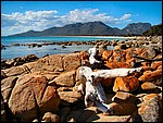 DSC07645FreycinetStokkIFjaera.JPG