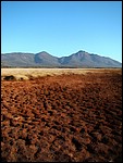 DSC07672FreycinetToerrVaatmark.JPG