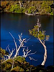 DSC07839CradleMountainWombatPool.JPG