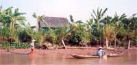 Mekong_Fishers_s.jpg (7815 bytes)